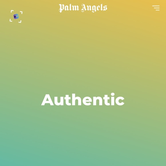 Palm Angels Boxy Teddy Bear Heavyweight Designer Hoodie - Picture 8 of 9